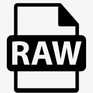 Download RawDump v2.1 [Best Backup Software for Gamers]